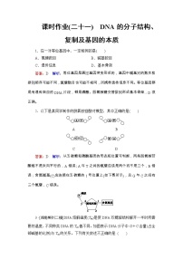 高考生物一轮复习课时作业21《DNA的分子结构、复制及基因的本质》（含详解）