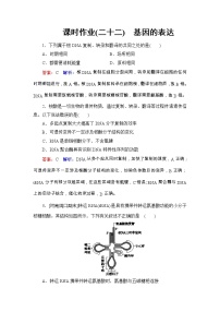 高考生物一轮复习课时作业22《基因的表达》（含详解）