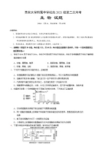 2021届重庆市北碚区西南大学附属中学高三上学期10月第二次月考生物试题含答案