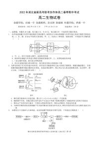 2022湖北省新高考联考协作体高二下学期期中考试生物PDF版含解析