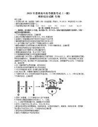 安徽省安庆市2021届高三高考模拟考试（一模）理综生物试题 含答案