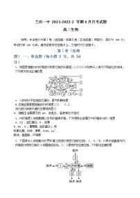 2022兰州一中高二下学期4月月考生物试题含答案