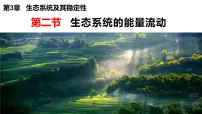 高中生物人教版 (2019)选择性必修2第2节 生态系统的能量流动集体备课ppt课件