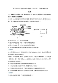 2021-2022学年安徽省合肥市第八中学高二上学期期末考试生物试题含答案