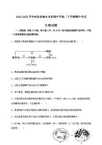 2021-2022学年河北省衡水市武强中学高二下学期期中考试生物试题含答案