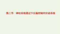 生物第三章  体液调节第二节  神经系统通过下丘脑控制内分泌系统教学ppt课件