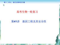 高考生物一轮复习 基因工程 优质课件