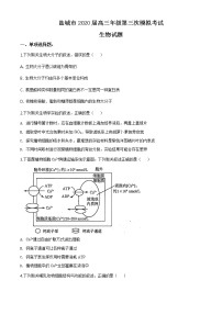 2020届江苏省盐城市高三三模生物（文字版、含答案）练习题