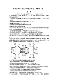 2022高三下学期百校联考试题（衡阳二模）生物含解析