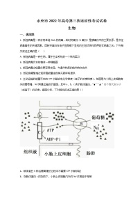 湖南省永州市2022届高三下学期第三次适应性考试（三模）生物试题+Word版含答案