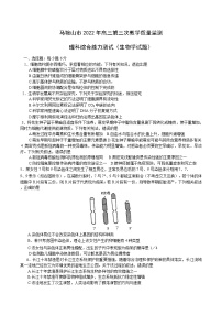 2022届安徽省马鞍山市高三三模理综生物试题（含答案）