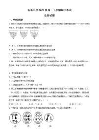 2022山东省新泰市一中老校区（新泰中学）高一下学期期中考试生物试题含解析