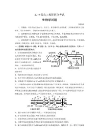 2022年山东日照高三二模 生物试卷及答案