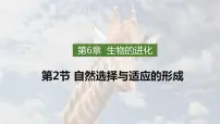生物第6章 生物的进化第2节 自然选择与适应的形成授课ppt课件
