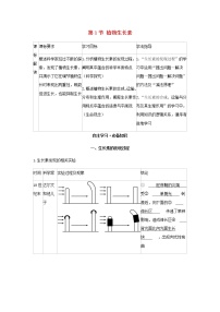 高中人教版 (2019)第1节 植物生长素导学案