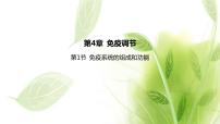 高中生物人教版 (2019)选择性必修1第1节 免疫系统的组成和功能多媒体教学课件ppt