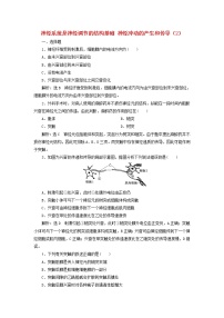 生物选择性必修1 稳态与调节第一节  神经系统是神经调节的结构基础巩固练习