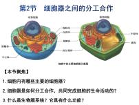 生物第3章 细胞的基本结构第2节 细胞器之间的分工合作评课课件ppt