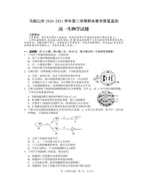 2020-2021学年安徽省马鞍山市高一下学期期末考试生物试题 PDF版