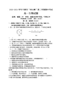 2021宁德高中同心顺联盟校高一下学期期中考试生物试题含答案