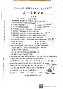 2021河北省定州市高一（非高考班）下学期期中考试生物试题扫描版含答案