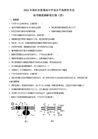 精品解析：2022届重庆市高三四模生物试题（原卷版）