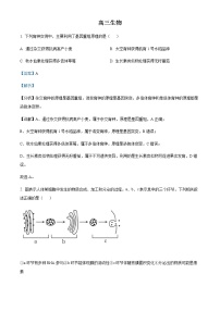 2022天津红桥区高三下学期二模生物试题含解析