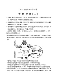 2022山东省肥城市高三下学期高考适应性训练（高考仿真模拟）生物试题（二）含答案