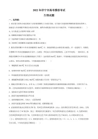 2022年山东省济宁市高三三模生物试题含答案