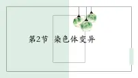 高中生物人教版 (2019)必修2《遗传与进化》第5章 基因突变及其他变异第2节 染色体变异图文课件ppt