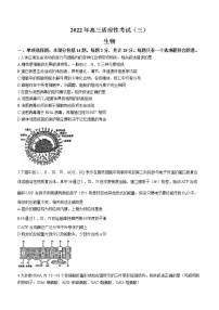 江苏省如皋市2022届高三下学期适应性考试(三)生物+Word版含答案