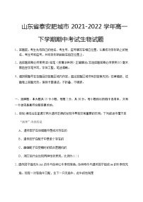 2021-2022学年山东省泰安肥城市高一下学期期中考试生物试题含答案