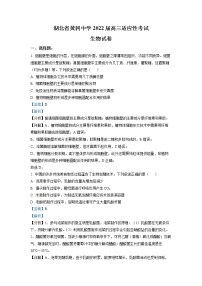 2022黄冈中学高三第四次模拟（四模）考试生物（含答案）