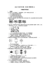 2023年高考生物一轮复习课时练11《细胞的增殖》(含答案)