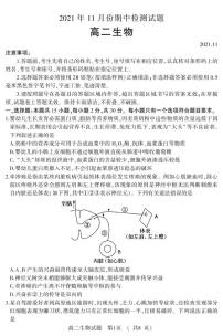 2021-2022学年山东省潍坊（安丘市、诸城市、高密市）高二上学期期中考试生物试题（PDF版含答案）