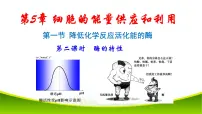 人教版 (2019)二 酶的特性背景图ppt课件