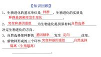高中生物第6章 生物的进化第4节 协同进化与生物多样性的形成课文配套课件ppt