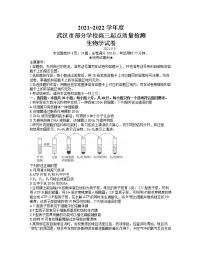 2022武汉部分学校高三上学期起点质量检测生物试题含答案