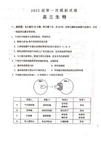 2022洛南县洛南中学高三上学期第一次模拟考试生物试题扫描版含答案