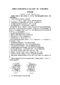 2022安徽省六校教育研究会高三上学期8月第一次素质测试生物试题含答案