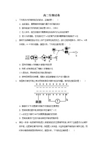 2022省双鸭山重点中学高二上学期9月周测生物试题含答案