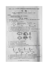 2021沈阳郊联体高二下学期期末考试生物试题扫描版含答案