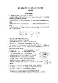 2021湖北省重点高中高二下学期期末联考生物试题含答案