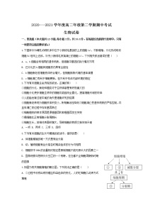 2021唐山曹妃甸一中高二下学期期中考试生物试卷含答案