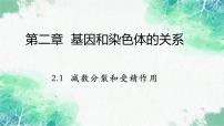 必修2《遗传与进化》一 减数分裂教学演示课件ppt