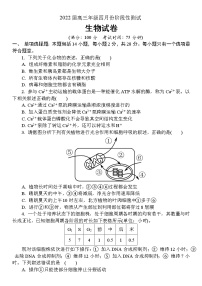 2022江苏省如东高级中学、姜堰中学、沭阳高级中学高三下学期4月份阶段性测试三校联考生物试卷