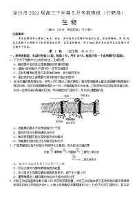 2021徐州高三下学期5月考前模拟（打靶卷）生物试题含答案