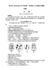 2021徐州高三上学期期中抽测生物试卷含答案