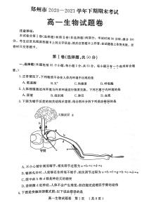 2021郑州高一下学期期末考试生物试题扫描版含答案