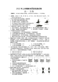 2022岳阳临湘高一下学期期末生物试卷含答案